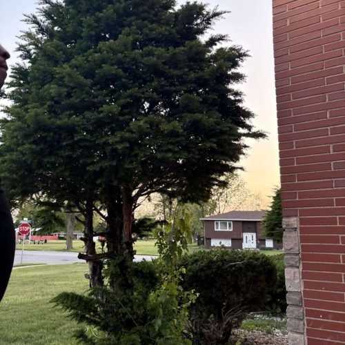 13754709-624f-441c-94dc-1db65f11dd4b