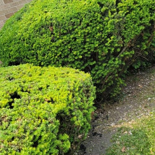 7548d800-f6a9-4da0-8007-d6a7ffeceaee