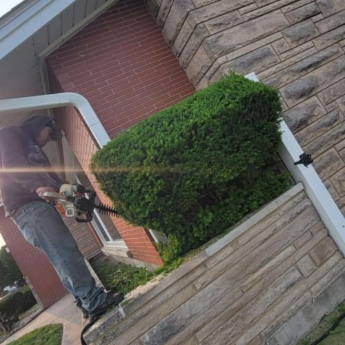 7eab86df-1f6f-47c7-9bc0-408956285deb