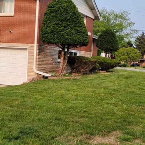 87eb978f-b448-4f4c-8432-6f072950c6ea