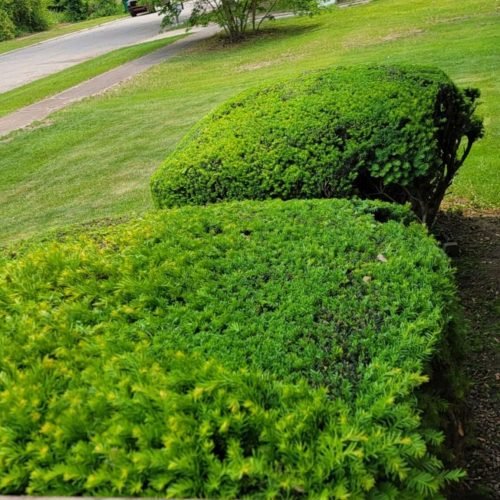 889c8a45-f36f-41aa-a91f-aab8931f985b