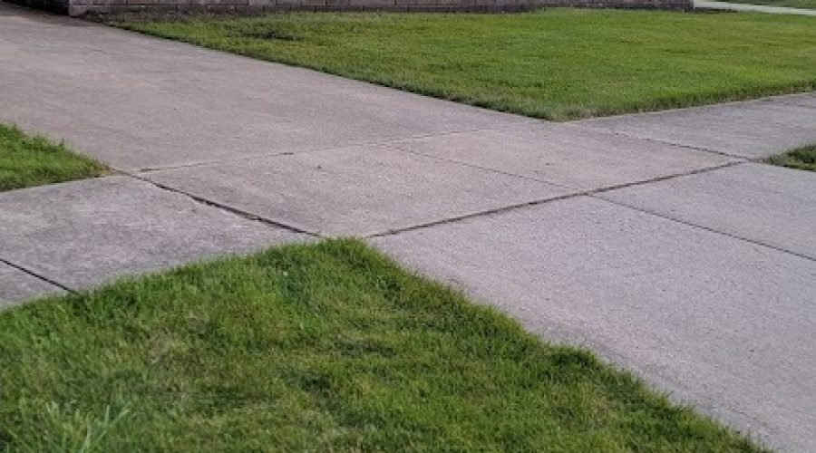 FOTOS RENOVATIONS LANDSCAPING (2)